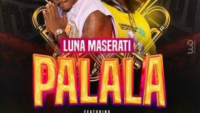 Palala Instrumental Mp3 Download