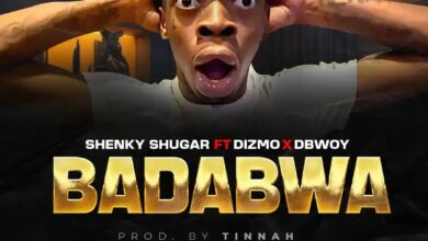 Shenky ft Dizmo x D Bwoy – Badabwa Mp3 Download